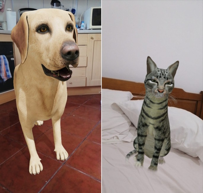 Google suurendas reaalsuse koeri ja kasse
