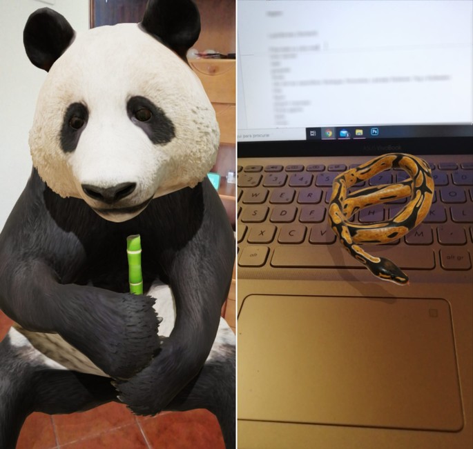 google loomade 3d madu panda
