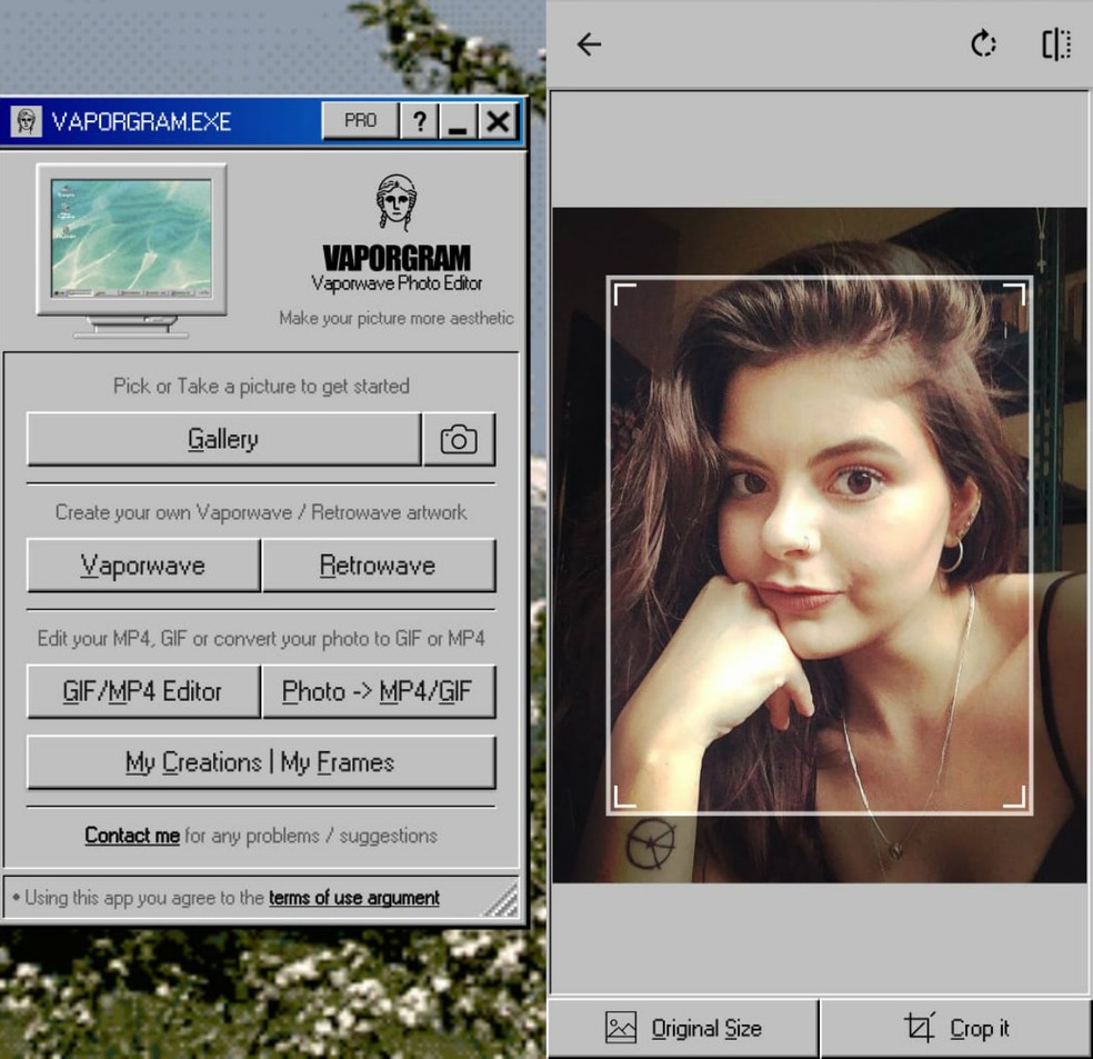 Vaporwave GIF: tasuta rakendus loob fotode esteetikaga Tumblri fotod: Reprodutseerimine / Clara Fabro