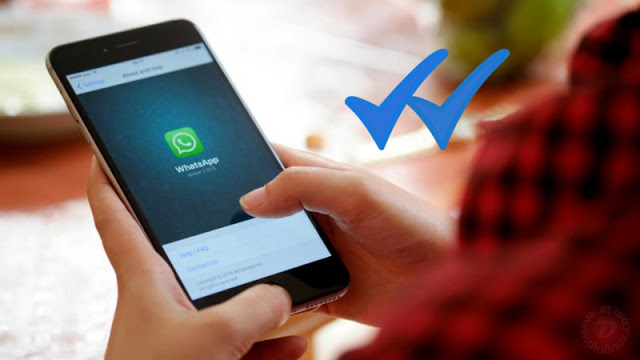 Kuidas lugeda WhatsAppis sõnumeid ilma, et sõnumi saatjale ilmuks kaks sinist joont - Diolinux