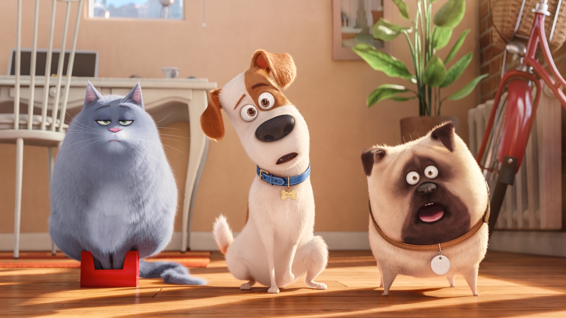 Nädala parim film: ostke 9,90 R $ eest animatsioon “Pets: Loomade salajane elu”!