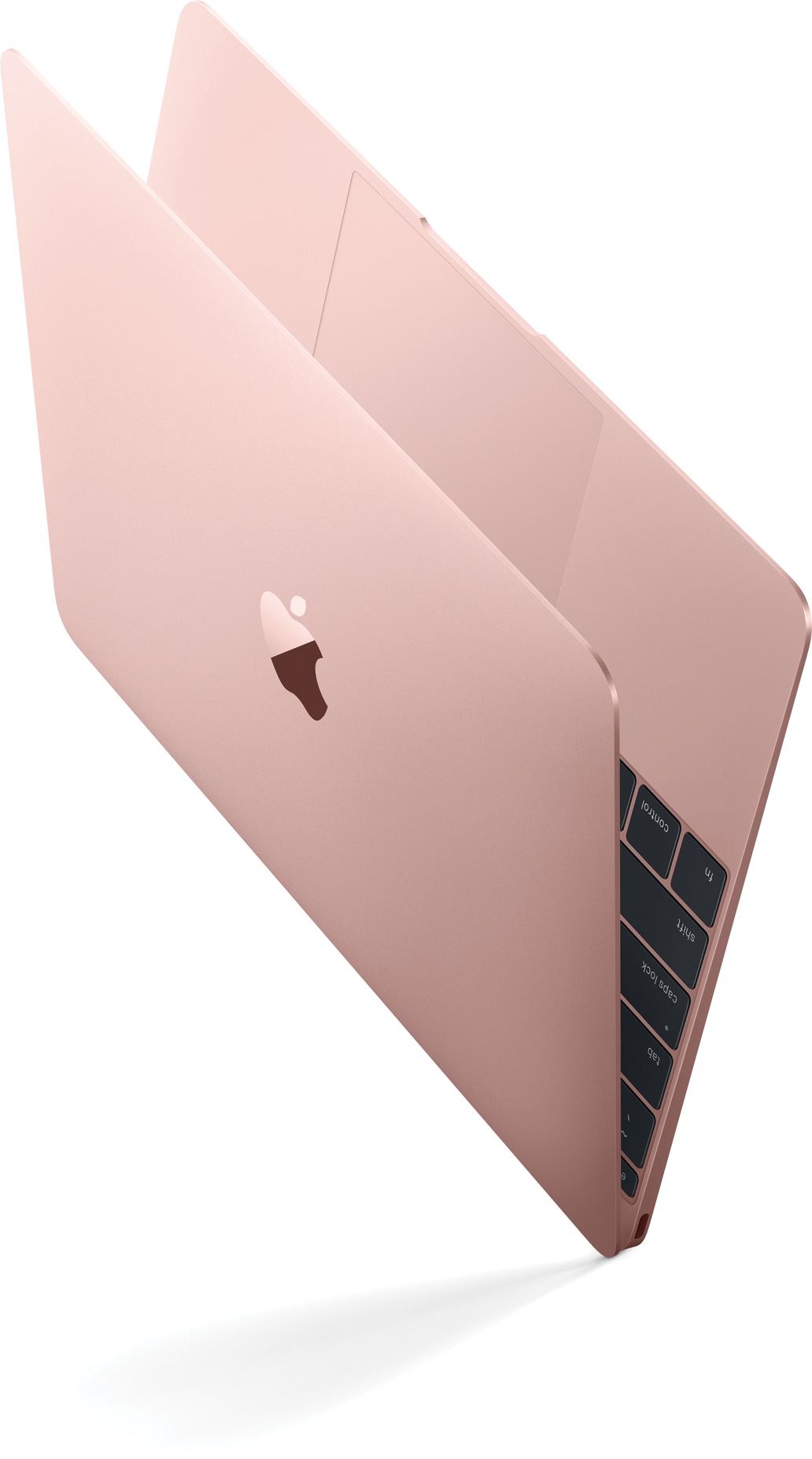 Mawar emas MacBook miring secara diagonal dan menyamping