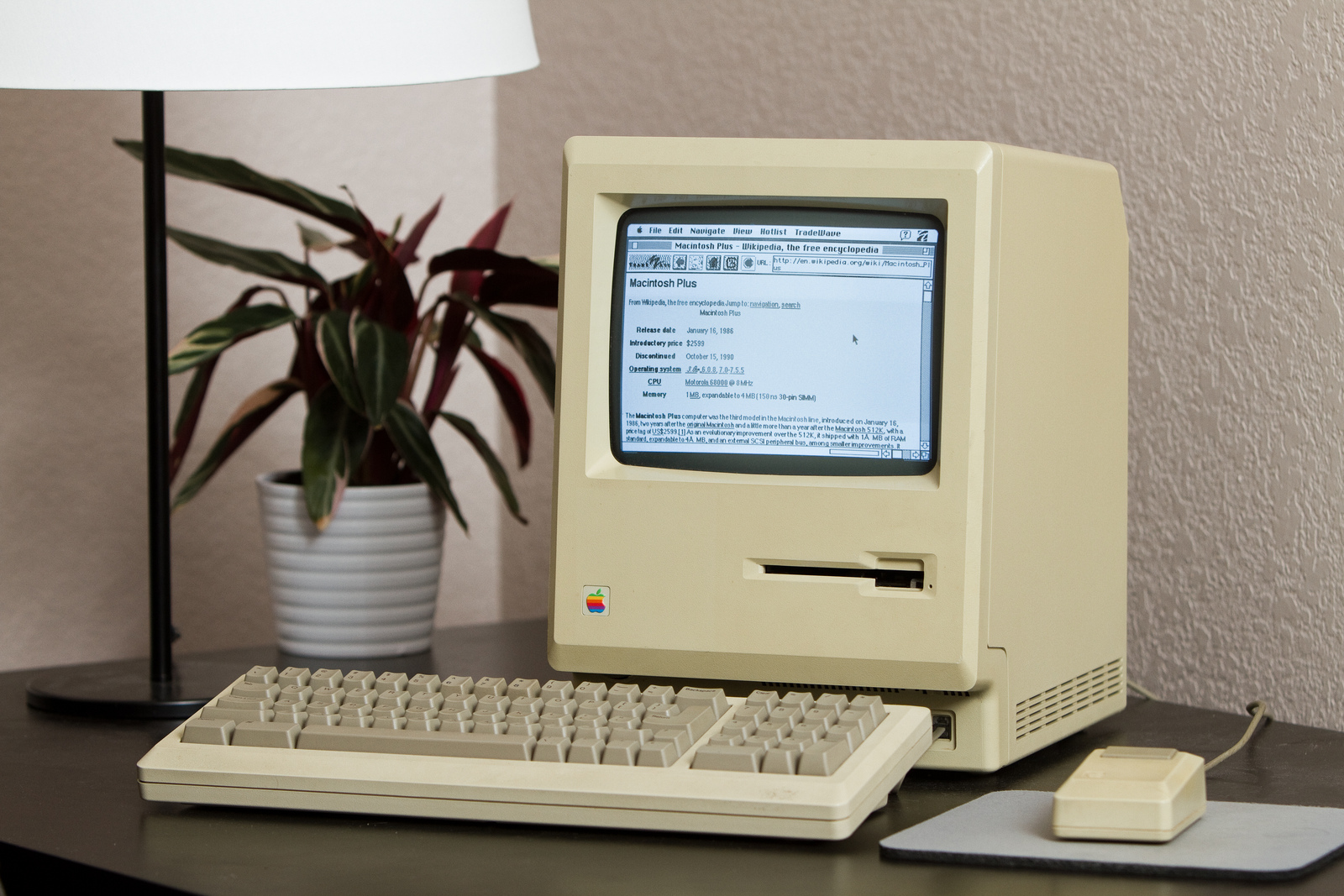 Mac Plus terhubung ke internet