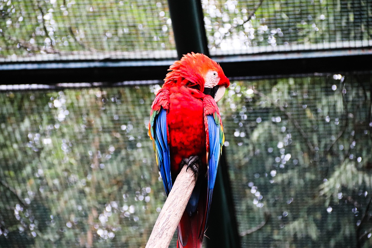 buenos chicos reparto