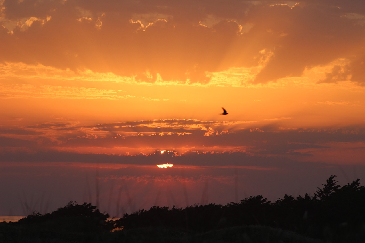 felicitaciones de navidad