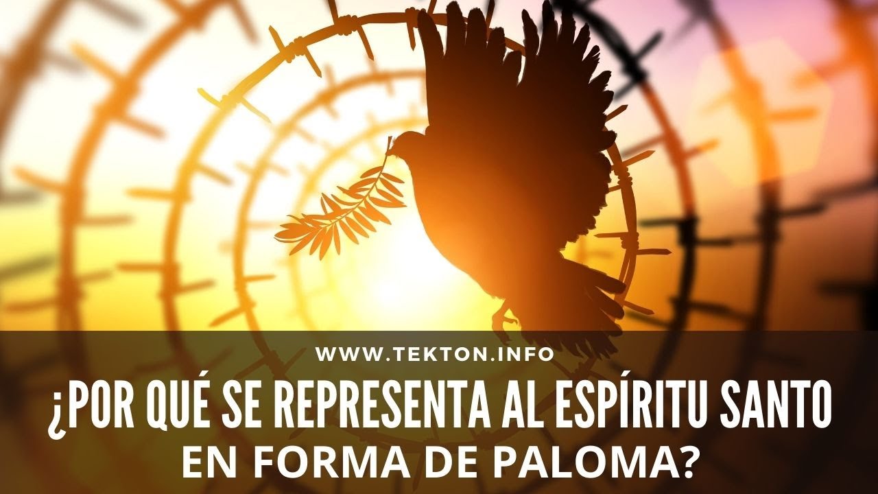 paloma del espiritu santo